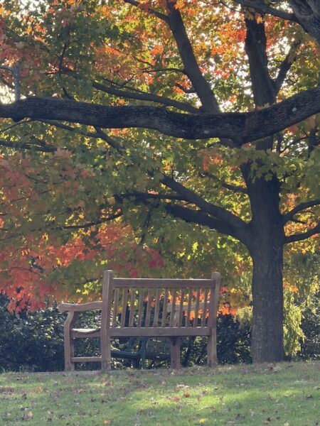 Today’s Photo: Rye Town Park — Larchmont Loop